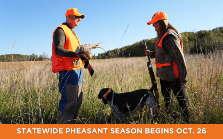 PHEASANT SEASON IS UPON US CHECK IT OUT👇👇👇